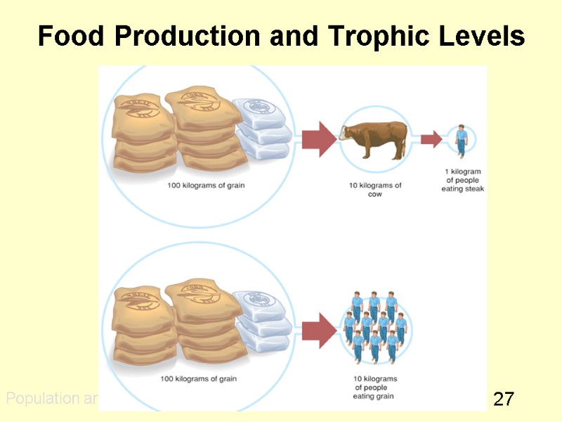 27 Food Production and Trophic Levels  Population and trophic levels